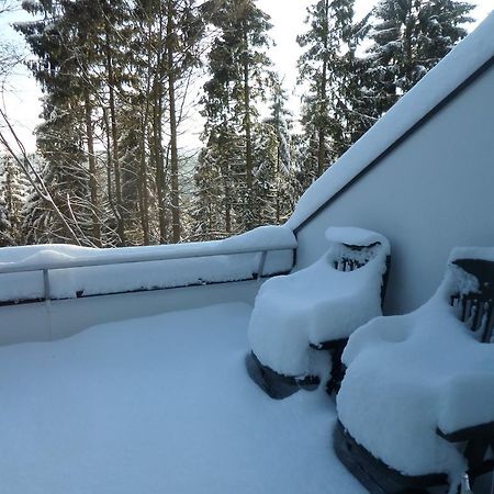 Terrassenhaus Winterberg Apartman Kültér fotó