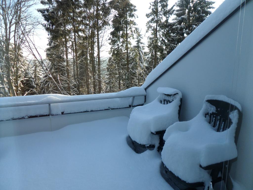 Terrassenhaus Winterberg Apartman Kültér fotó